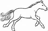 Pferd Malvorlage Ausmalbild Malvorlagen sketch template