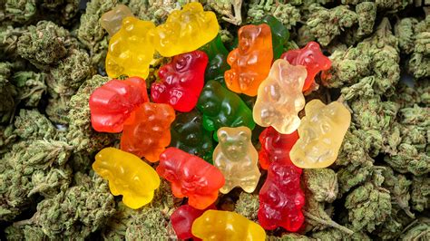 florida students accidentally ate weed candy   emergency room