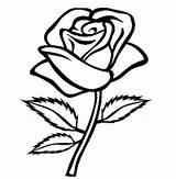 Rose Outline Clipart Flower Library Stem sketch template
