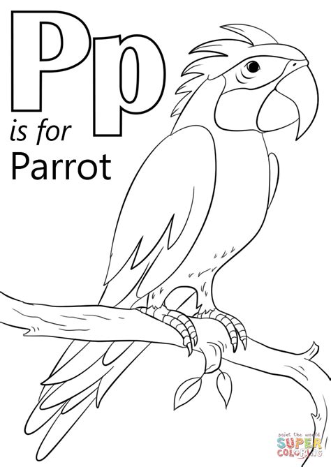 letter p   parrot coloring page  printable coloring pages