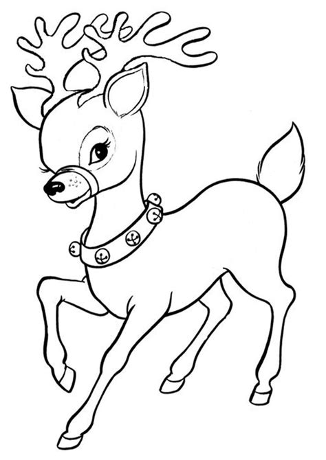 reindeer pictures  colour   printable reindeer coloring pages