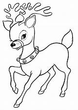 Reindeer Renne Babbo Renna Pianetabambini Facili Slitta Disegnare Tulamama Natalizi Deer Animali Ausdrucken Scaricare Sul Natalizio sketch template