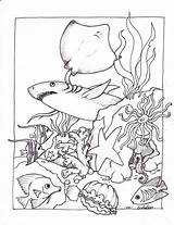 Ocean Coloring Pages Creatures Printable Kids sketch template