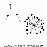 Dandelion Coloring Pages sketch template