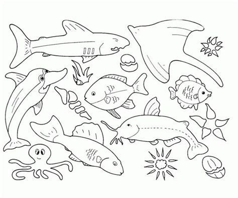 sea animals coloring pages   animal coloring pages fish