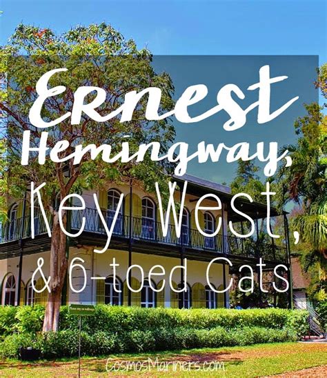Ernest Hemingway Key West And 6 Toed Cats Literature