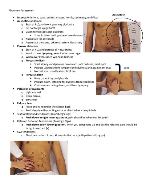 abdomen assessment abdomen assessment inspect  lesions scars