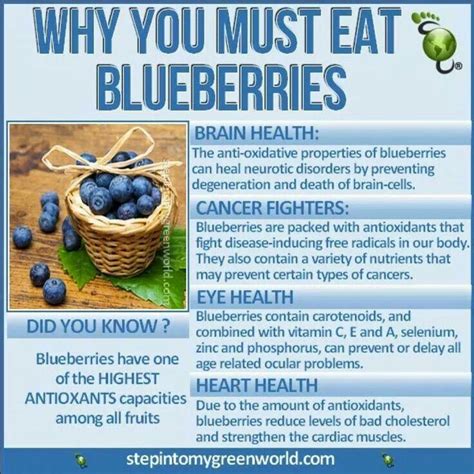 blueberry benefits of organic food health blueberry benefits