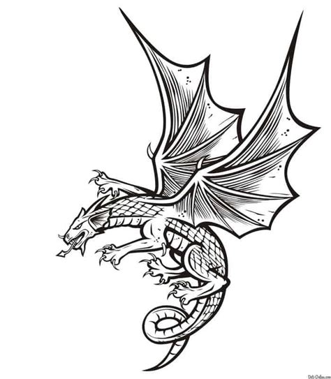 dragon coloring pages realistic  dragon coloring pages  kids