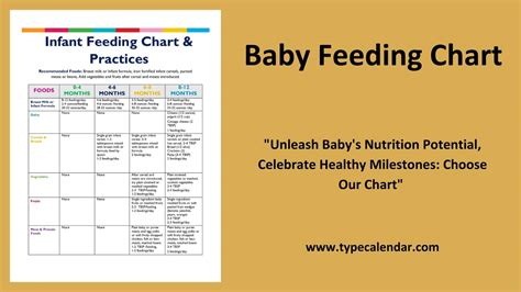 printable baby feeding chart templates  word excel