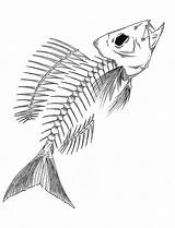 Skeleton Fish Shadow Drawing Drawings Deviantart sketch template