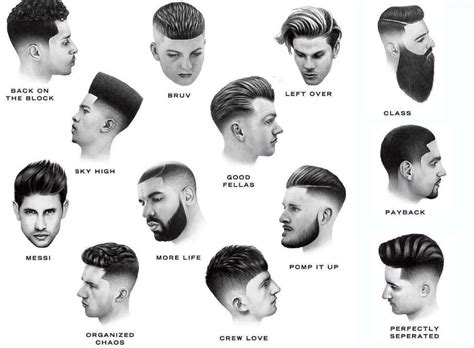 hairstyle names  pictures  male sosteldiaz