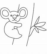 Koala Coloring Animals Baby Zoo Pages Printable sketch template