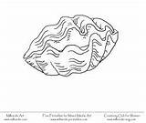 Mussel Designlooter Seashell Scallop sketch template