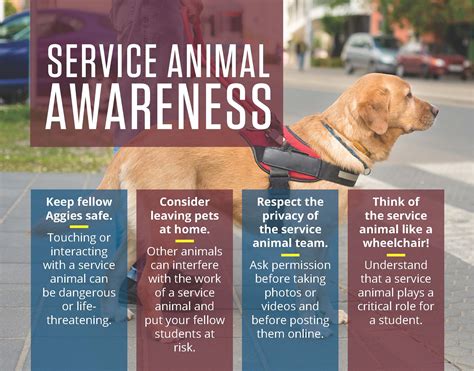 allowed     service dog