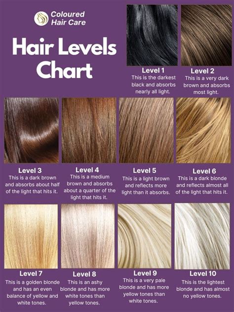 level chart hair color  level  hair color char vrogueco