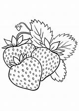 Strawberry sketch template