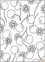 Coloring Cherry Pages Cherries Flowers Printable Blossom Clipart Pattern Library Categories Book Similar Popular sketch template