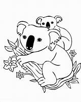 Koala Coloring Pages Printable Coloringbay sketch template