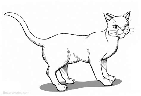 warrior cats coloring pages official drawing  printable coloring