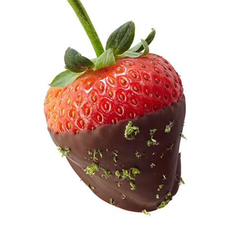 chocolate dipped strawberries recipe eatingwell