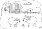 Coloring Sheep sketch template