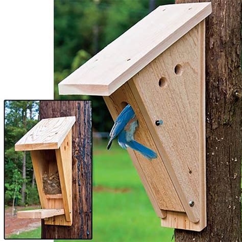 peterson bluebird nest box gardens alive