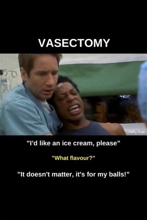 vasectomy memes the 29 ingredients that make an