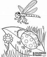 Coloring Dragonfly Ladybird Print Sheet sketch template