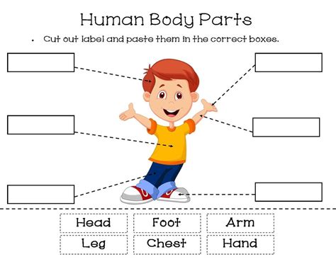human body  resource station grade