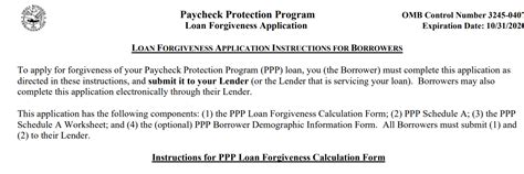 sba loan forgiveness application treasury guidance faqs safe
