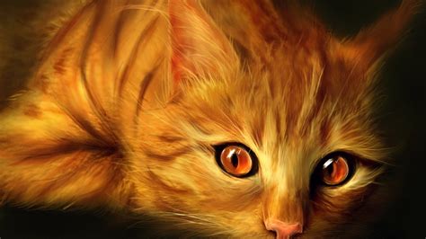 red cat wallpapers  images wallpapers pictures