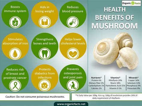 Health Benefits Of Mushroom Mushroom Benefits Health Benefits Of