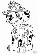 Patrol Paw Clipart Coloring Pages Clip Mooi Marshall Print Printables sketch template