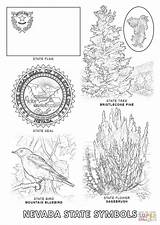 Nevada Coloring State Symbols Pages Color Designlooter sketch template