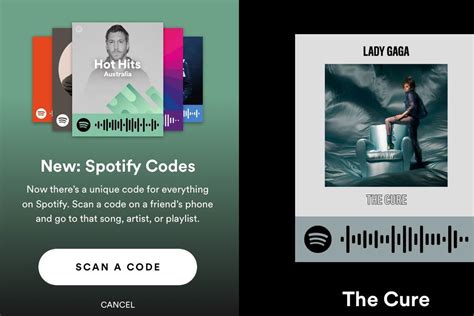 spotify adds qr  codes  quick  sharing  verge