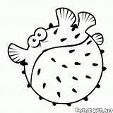 Colorkid Globefish Nemo sketch template