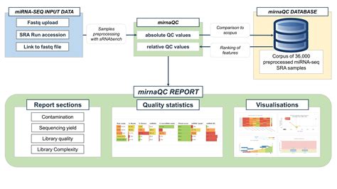 workflow mirnaqc documentation