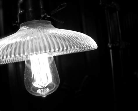 light  light light lamp