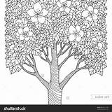 Coloring Tree Dogwood Pages Flowering Getcolorings Getdrawings Printable sketch template