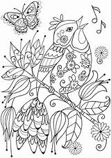 Coloring Pages Easy Adult Doverpublications Mandala Dover Animal Publications Bird Book Adults Books Sheets Zb Samples Dibujos Visit Colouring Printable sketch template