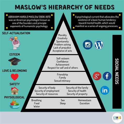 maslow s hierarchy of needs 🌍 camhs professionals
