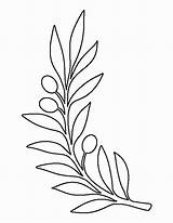 Template Olive Branch Pattern Printable Coloring Tree Leaf Outline Stencils Drawing Leaves Stencil Patterns Patternuniverse Templates Crafts Flower Paper Flowers sketch template