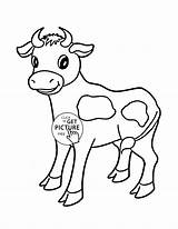 Cow Kids Drawing Coloring Pages Little Getdrawings sketch template