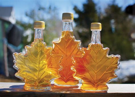 ceta offers opportunities for canadian food and beverage products