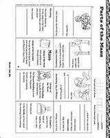 Mass Catholic Parts Coloring Kids Religion Order Worksheet Booklet Children Commandments Worksheets Ccd Pages Eucharist Holy Activities Education Religious Sheets sketch template