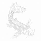 Koi Coloring Vector Adult Japanese sketch template