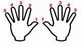 Teclado Numbering Mãos Iniciante Primeirosacordes Scales sketch template