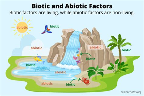 significa la palabra bioticos  abioticos