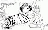 Coloring African Safari Pages Animals Popular sketch template